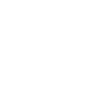 lungs icon